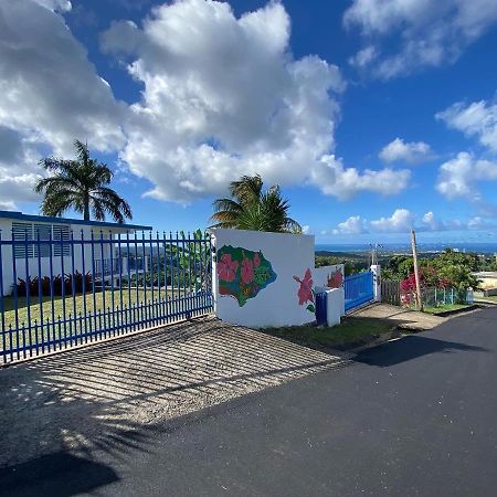 Million Dollar View In Puerto Rico Villa Luquillo Exteriör bild
