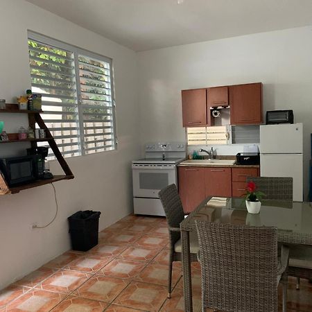 Million Dollar View In Puerto Rico Villa Luquillo Exteriör bild