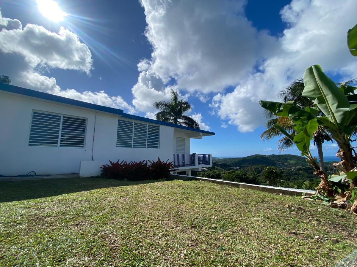 Million Dollar View In Puerto Rico Villa Luquillo Exteriör bild