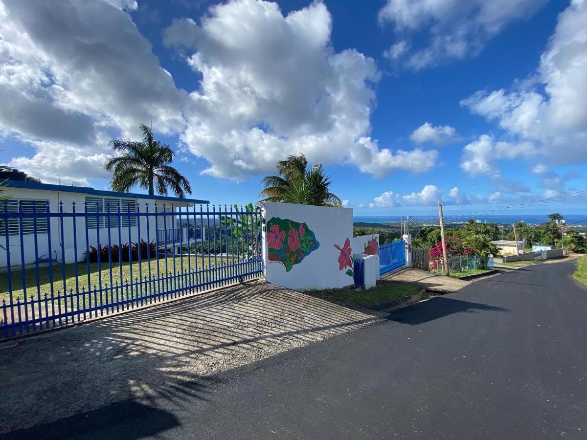 Million Dollar View In Puerto Rico Villa Luquillo Exteriör bild