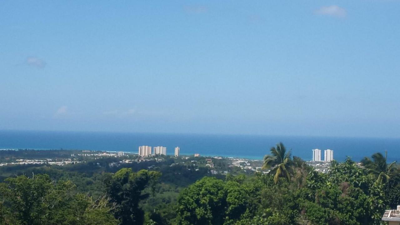 Million Dollar View In Puerto Rico Villa Luquillo Exteriör bild