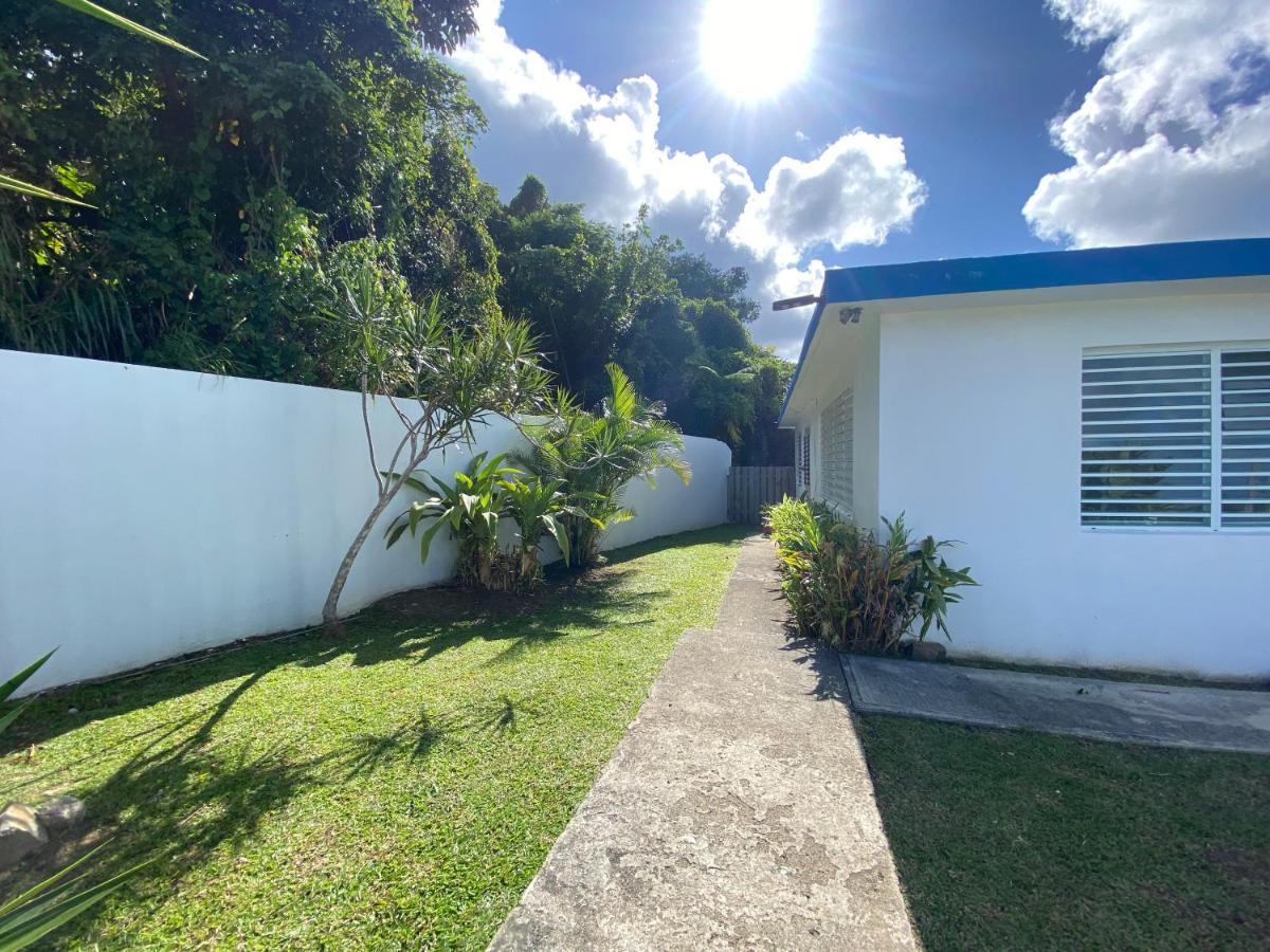 Million Dollar View In Puerto Rico Villa Luquillo Exteriör bild