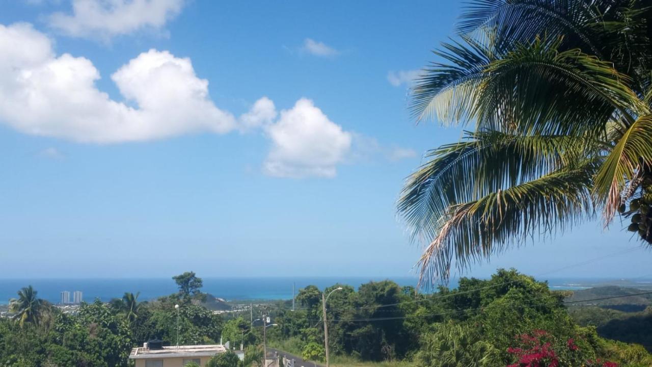 Million Dollar View In Puerto Rico Villa Luquillo Exteriör bild