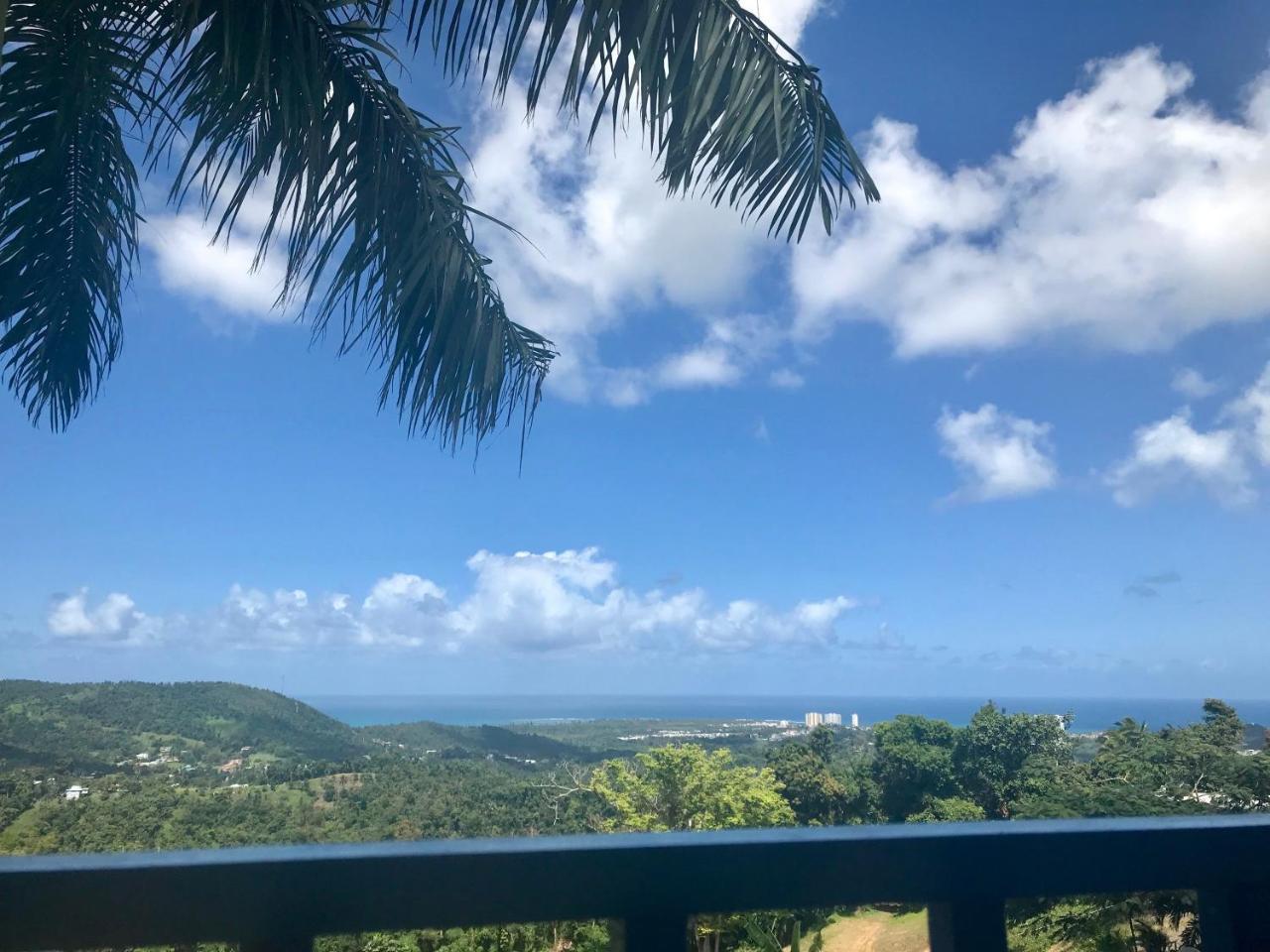 Million Dollar View In Puerto Rico Villa Luquillo Exteriör bild