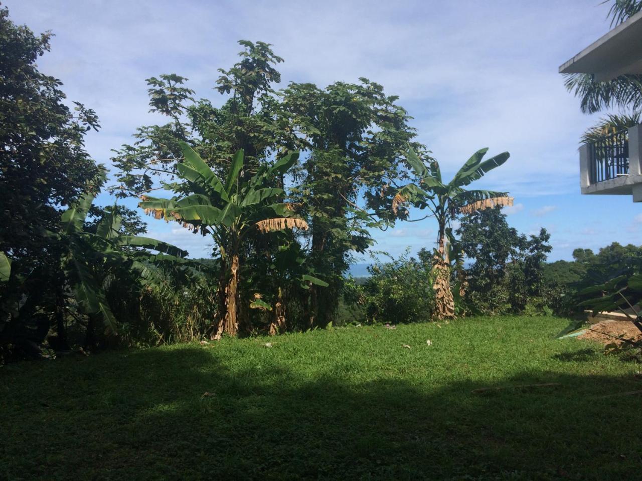 Million Dollar View In Puerto Rico Villa Luquillo Exteriör bild